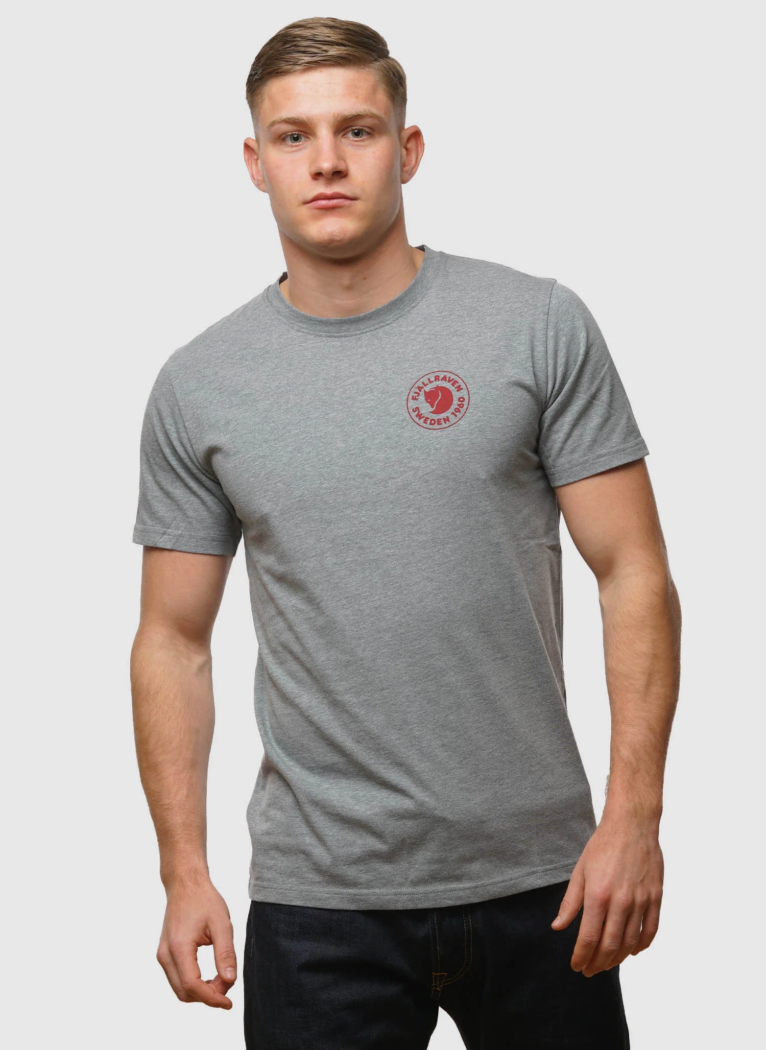 1960 Logo T-Shirt - Grey Melange - Image 4