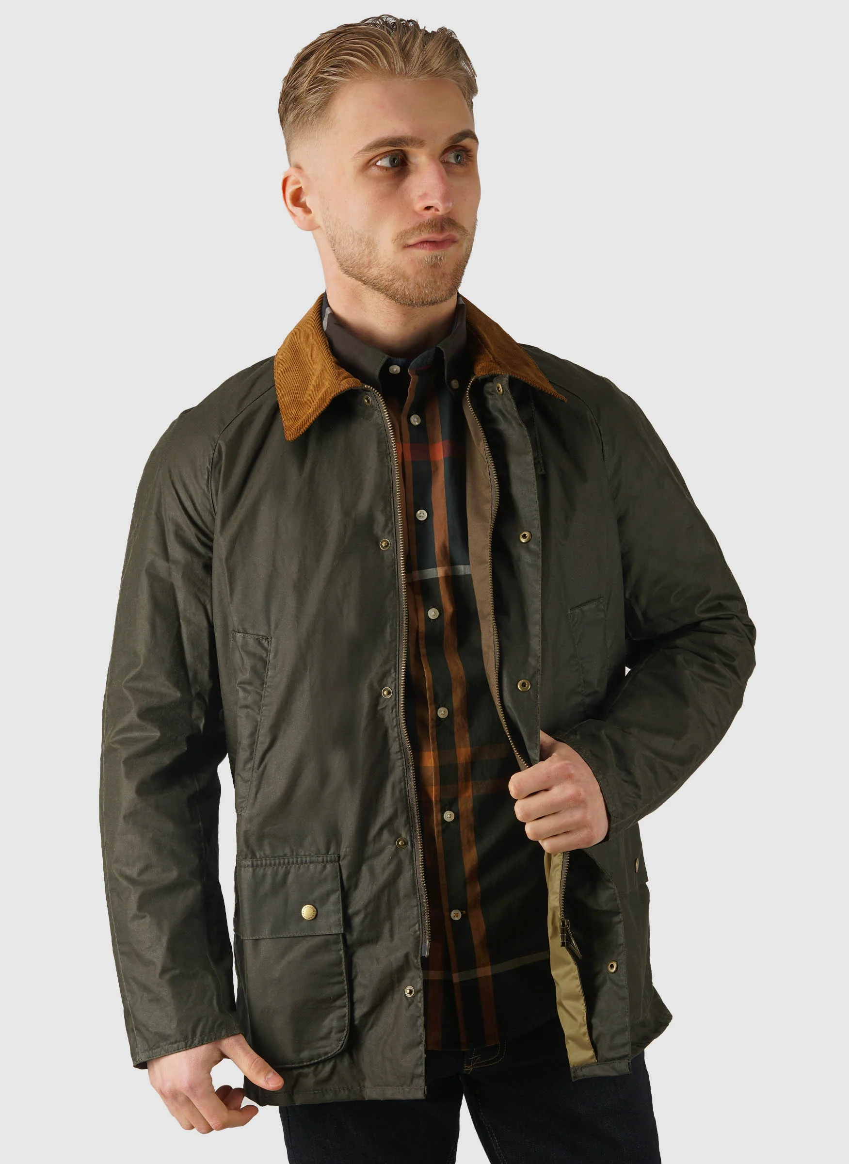 Light Weight Ashby - Archive Olive
