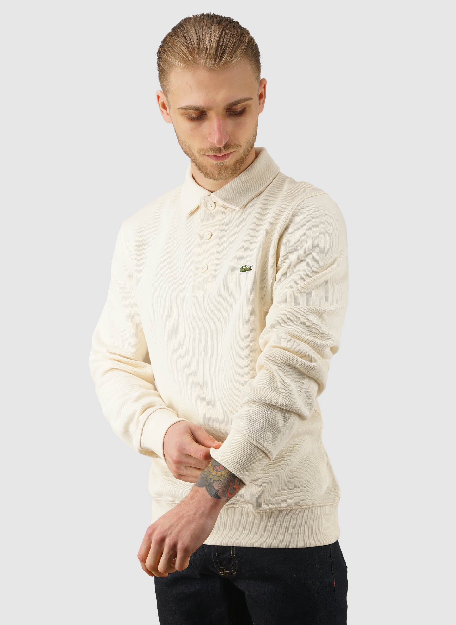 Ribbed Cotton Poloshirt - Lapland - Image 2